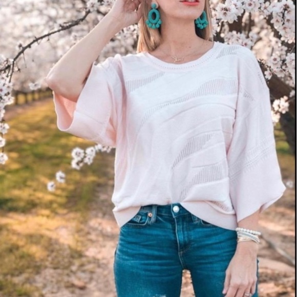 CAbi #5631 Pink Shy Boxy Pullover Sweater small - Picture 1 of 12